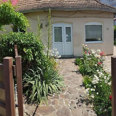 Casa Didina Fosta Pensiune Casa Didina Bacău Exterior foto