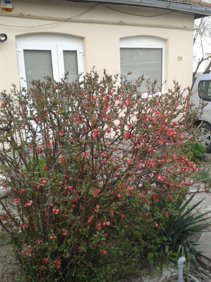 Casa Didina Fosta Pensiune Casa Didina Bacău Exterior foto